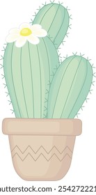 Green Cactus With White Flower