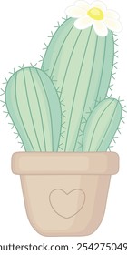 Green Cactus With White Flower. Decorative House Plant