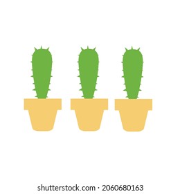 green cactus in a yellow pot white background