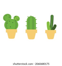 green cactus in a yellow pot white background