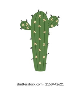 Green cactus with yellow prickles doodle. Doodle hand drawn western plant element naive vector art on white isolated background