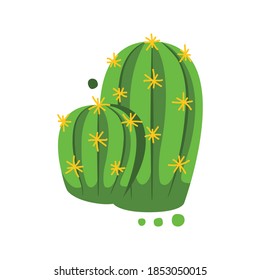green cactus with yellow thorns