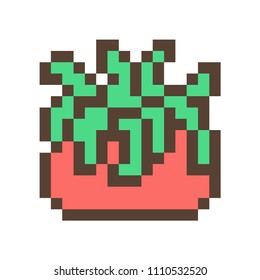 Green cactus/succulent in clay flower pot, 16x16 pixel art icon isolated on white background. Retro 80s-90s old school 8 bit slot machine/video game graphics. Houseplant logo. Office plant.
