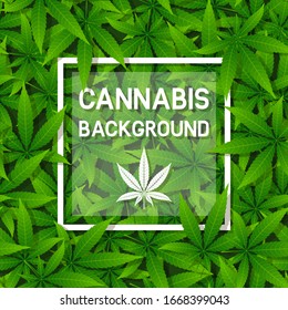 Grüner Cannabis-Kräuterblatt-Hintergrund mit Rahmen