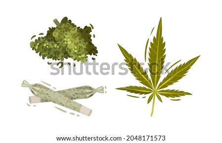 Green Cannabis Leaf and Cigarette with Dried Plant Vector Set