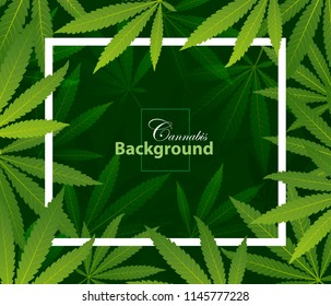 green cannabis leaf drug marijuana herb Background. Vector Marijuana Frame Cannabis Green Leaf.