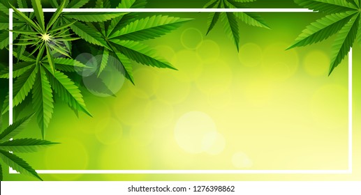 green cannabis leaf drug marijuana herb Background. Vector natural panarama Marijuana Frame Cannabis Green Leaf.