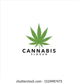 green cannabis leaf icon and symbol on a white background