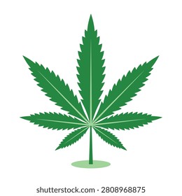 A green cannabis leaf on a white background, symbolizing marijuana and its uses