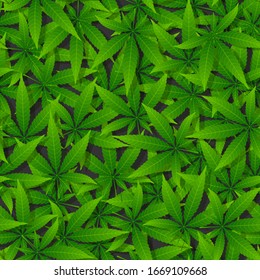 Green cannabis leaf seamless pattern