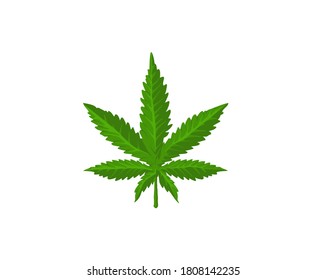 Green Cannabis leaf vector isolated on white