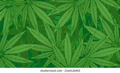 Green cannabis leaves pattern background