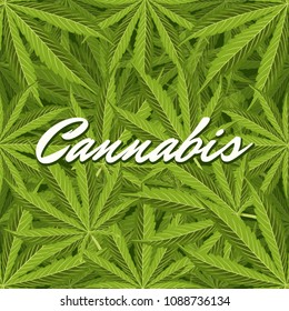 Green cannabis leaves. Vector Composition - Copy Space
