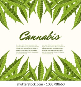 Green cannabis leaves. Vector Composition - Copy Space