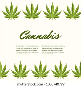 Green cannabis leaves. Vector Composition - Copy Space