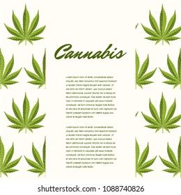 Green cannabis leaves. Vector Composition - Copy Space