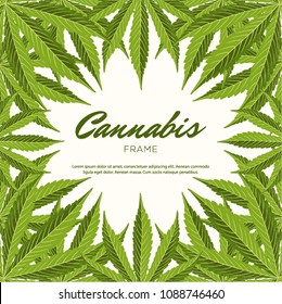 Green cannabis leaves. Vector Composition - Copy Space