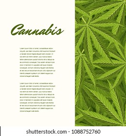 Green cannabis leaves. Vector Composition - Copy Space