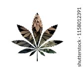 green cannabis vector illustration