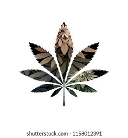 green cannabis vector illustration