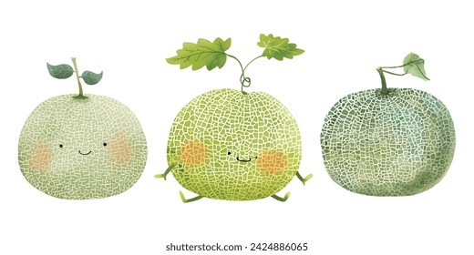 green cantaloup watercolor vector illustration