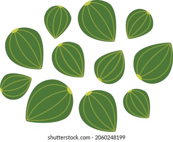 Green Capers Vector Illustration For Cooking