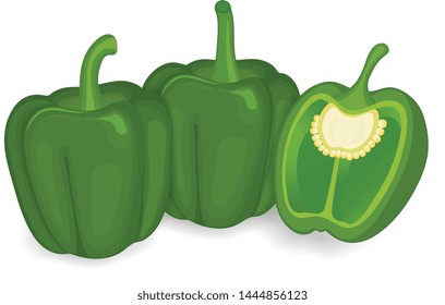 Green capsicum ( bell pepper) with half piece of capsicum vector illustration