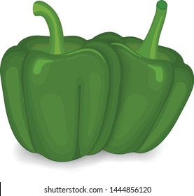 Green Capsicum ( Bell Pepper) Vector Illustration