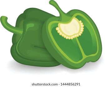 Green capsicum ( bell pepper) vector illustration