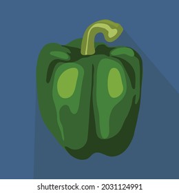 Green Capsicum icon illustration vector isolated