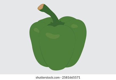 Green capsicum vector art Illustration isolated on white background
