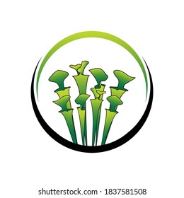 green Carnivorous Sarracenia plant logo template 02