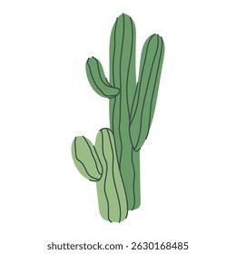 Green cartoon cactus, desert plant illustration