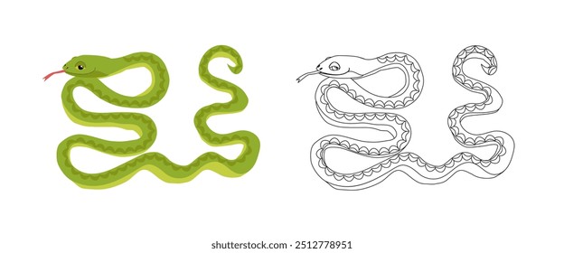 Página de coloração de cobra de desenho animado verde - ilustração vetorial, contorno preto em branco e exemplo de coloração