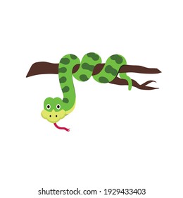 Green cartoon snake on tree branch vector on a white background