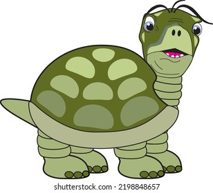 Green Cartoon Turtle Teeth Looking Front Stock Vector (Royalty Free ...