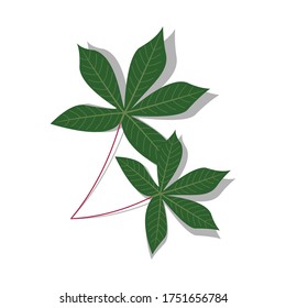 Green cassava leaves illustration of vector icon.