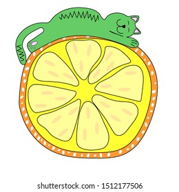 Green cat on the big orange slice vector illustration. Fun cartoon style.