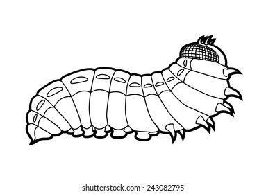 Green caterpillar butterfly - larval form of the lepidoptera consisting of the moths and butterflies vector illustration