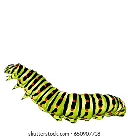 Green Caterpillar Creeps, Sketch Vector Graphics Color Picture