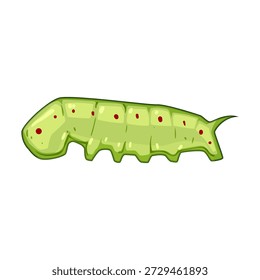 Oruga verde exhibiendo su cuerpo segmentado distinto y manchas rojas, una larva de insecto común transformándose en una mariposa o polilla, ilustrando crecimiento y naturaleza