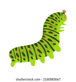 Green caterpillar illustration. Butterfly larva. Insect pest. Striped color. Animals and wildlife. Vector cartoon illustration isolated on white background