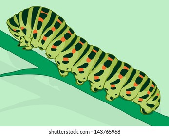 Green caterpillar, the larval form of the lepidoptera consisting of the moths and butterflies, on a plant stalk, vector doodle illustration