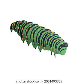 Green caterpillar on white background 3d isometric vector illustration