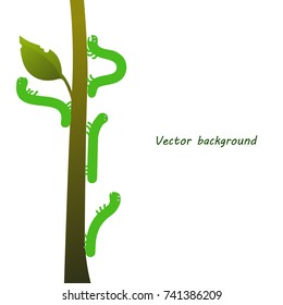 Green caterpillars creep up. Funny caterpillars on a branch, vector illustration