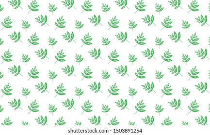 Green Catmint Leaves with Branch Pattern Background