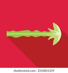 Green celery stalk with leaves lying horizontally on a red background, viewed from above