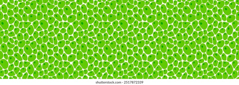 Conjunto de patrones sin fisuras de células verdes. Ilustración vectorial de la estructura de la hoja. Fondo de Plantilla verde fresco. Textura repetida de la planta para diseños orgánicos, ecológicos, agrícolas y científicos. Voronoi