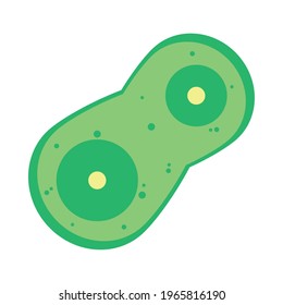 green cellule on white background