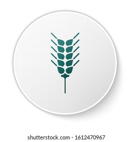 Green Cereals set with rice, wheat, corn, oats, rye, barley icon isolated on white background. Ears of wheat bread symbols. White circle button. Vector Illustration